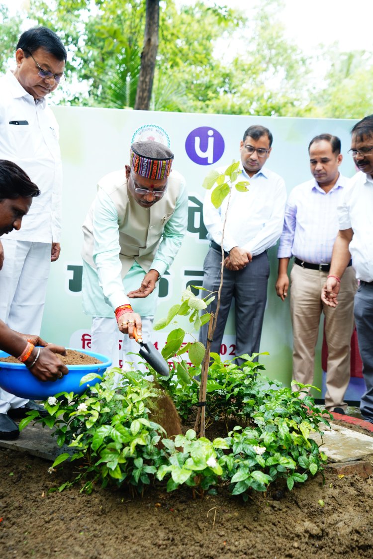 प्रधानमंत्री के आव्हान पर सीएम विष्णुदेव साय ने अपने निवास परिसर में लगाया दहीमन का पौधा