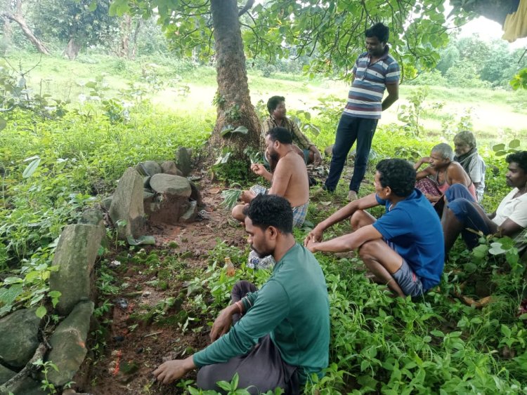 अनिष्ट से रक्षा,अच्छी फसल की कामना,पालतू पशुओं का बीमारी से बचाव है हरेली पर्व की विशेषता