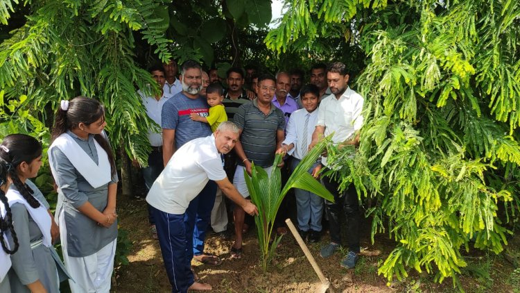 आदर्श जनकल्याण सेवा समिति ने किया फलदार और छायादार पौधों का रोपण