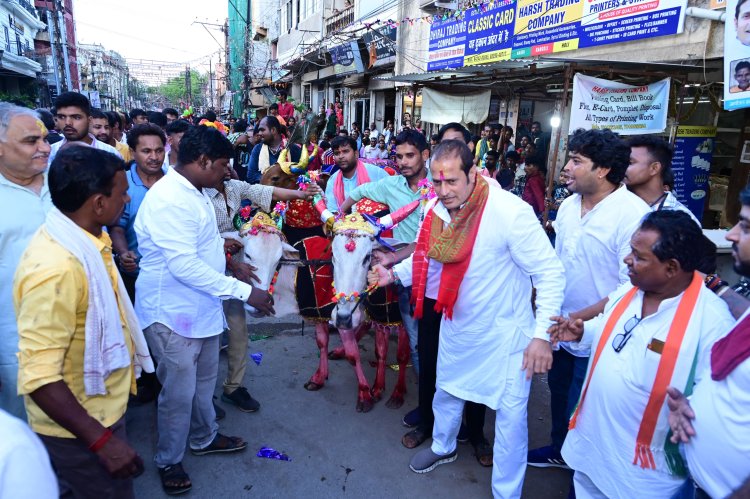 रायपुर पश्चिम के रामसागर पारा में पोरा तिहार पर हुई बैल दौड़ प्रतियोगिता