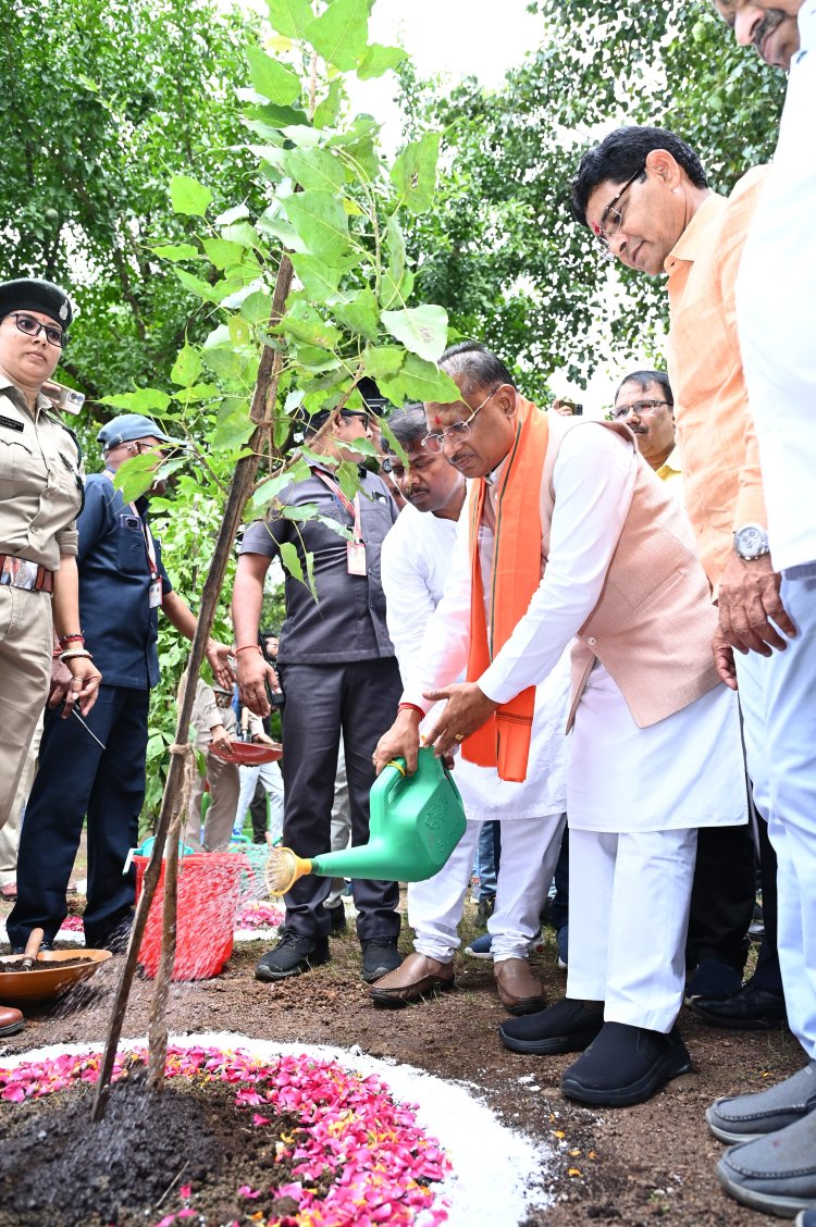 सीएम विष्णुदेव साय ने वन शहीदों को दी श्रद्धांजलि,वन मंत्री केदार कश्यप और राजस्व मंत्री टंकराम वर्मा ने अपने पिता की स्मृति में पौधा रोपा