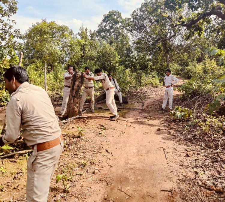 वन मंत्री केदार कश्यप के निर्देश पर कार्रवाई जारी,विभाग ने 23 लोगों के खिलाफ दर्ज किया केस