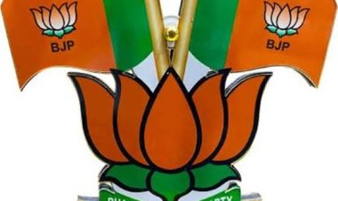 भाजपा ने जिला स्तरीय सक्रिय सदस्यता समीक्षा समिति का किया एलान,देखिए लिस्ट