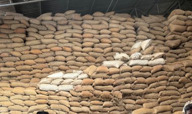 मिल संचालक से 1.40 करोड़ रुपए की वसूली,9 राइस मिलर्स पर कार्रवाई