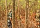 बीजापुर मुठभेड़ में 2 नक्सली ढेर,सर्चिंग में शव और हथियार सहित अन्य आर्म्स एम्युनेशन बरामद
