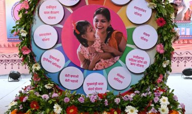 छत्तीसगढ़ राज्योत्सव 2024: महिलाओं से जुड़ी योजनाओं को लेकर दिखा उत्साह