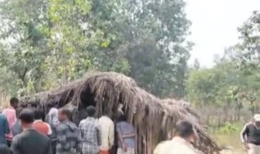 Breaking : हाथी के हमले में माता-पिता के सामने बच्चों ने तोड़ा दम