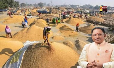छत्तीसगढ़ में 5.37 लाख मीट्रिक टन धान की हुई खरीदी*