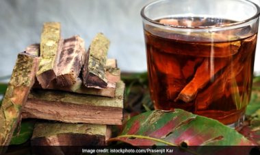 इस पेड़ की "छाल" का पानी पीने से मिलती है कई रोगों से राहत, इन लोगों के लिए रामबाण है यह उपाय