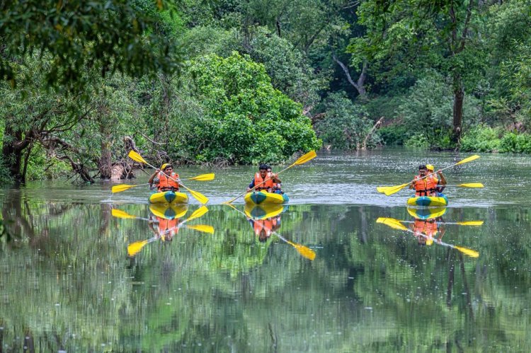 साहसिक पर्यटन के लिए प्रसिद्ध है बस्तर का धुड़मारास गांव,विश्व पर्यटन मानचित्र में बनाई अपनी जगह,पहचान अंतर्राष्ट्रीय स्तर पर स्थापित