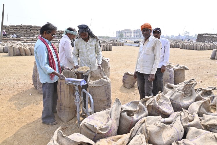 जिले में आज तक 64109 टन धान की खरीदी