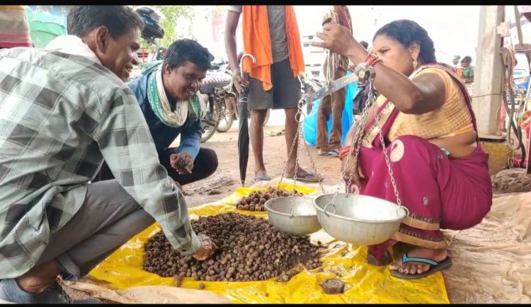 गरियाबंद की शान बोड़ा ने दी बाजार में दस्तक, एक पायली पहुंची 1200 रुपए तक