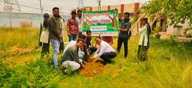 विश्व पर्यावरण दिवस पर डॉ. बी. एस. पी. महाविद्यालय घरघोड़ा में पौध रोपण कार्यक्रम संपन्न