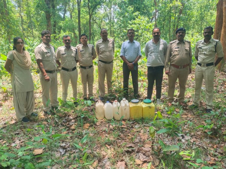 जंगल में अलग-अलग जगहों पर छीपा कर रखे भारी मात्रा में शराब,छापामार कर टीम ने की जब्त