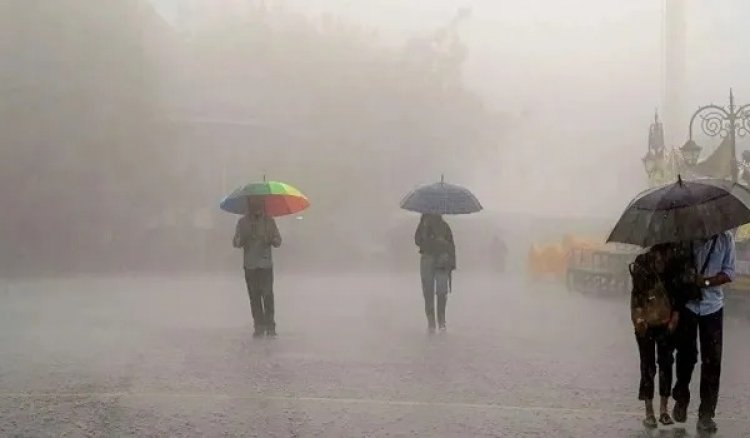 पूरे छत्तीसगढ़ में मानसून सक्रिय, गरज के साथ बारिश भी होगी