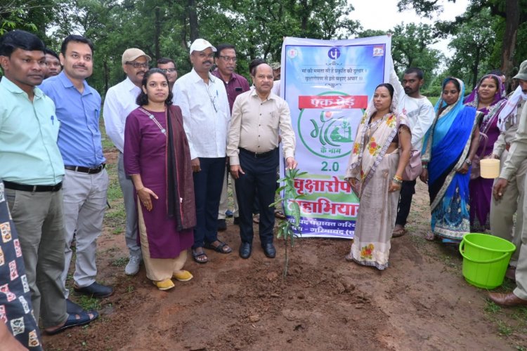 एक पेड़ मां के नाम : सढ़ौली में कलेक्टर ने किया पौधरोपण