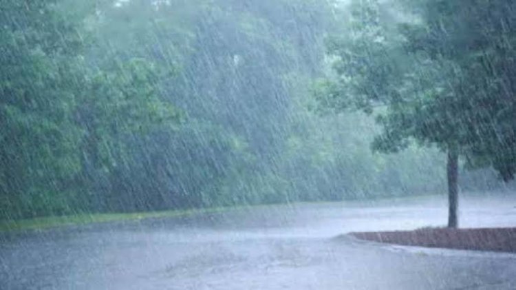 प्रदेश में बाढ़ का खतरा बढ़ा नौ जिलों के लिए अलर्ट,दंतेवाड़ा में नाव पलटी,बालोद-कवर्धा में हालात बिगड़े