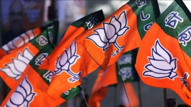 सीएम हाउस में कल भाजपा का कार्यकर्ता सम्मान समारोह, 1 हजार से ज्यादा सदस्य बनाने वाले प्रदेश स्तर पर होंगे सम्मानित