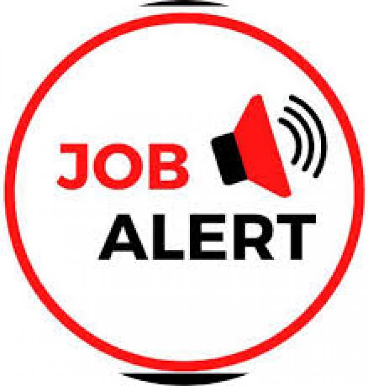Job Breaking : 2000 पदों पर होगी भर्ती, युवाओं के लिए सुनहरा अवसर