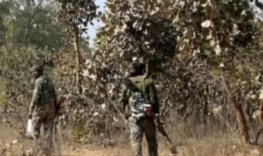 मुठभेड़ में दो माओवादी ढेर,हथियार और विस्फोटक सामग्री बरामद