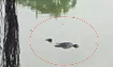 रायपुर: सड्डू क्षेत्र के शीतला तालाब में मिला शव, जांच में जुटी पुलिस