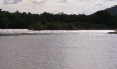 यमुना की जल गुणवत्ता में रिकॉर्ड सुधार: DPCC रिपोर्ट