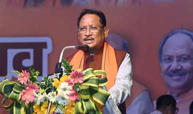 डब्लूआरएस कॉलोनी में 101 फीट के रावण का दहन : सीएम साय ने कहा-सद्मार्ग पर चलने की प्रेरणा देता है विजयादशमी पर्व