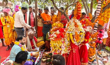बस्तर दशहरा :  कुटुंब जात्रा रस्म के साथ हुई देवी-देवताओं की ससम्मान विदाई