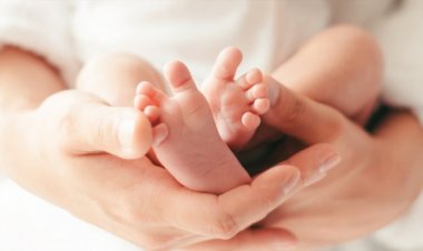 भारत में जन्म दर में गिरावट, मृत्यु दर में मामूली बढ़ोतरी: CRS रिपोर्ट