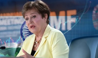 भारत वैश्विक अर्थव्यवस्था में चमकता सितारा: IMF प्रमुख