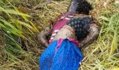 महिला की जंगल में मिली लाश, पुलिस ने मौके से बरामद किए तार और अन्य सामान