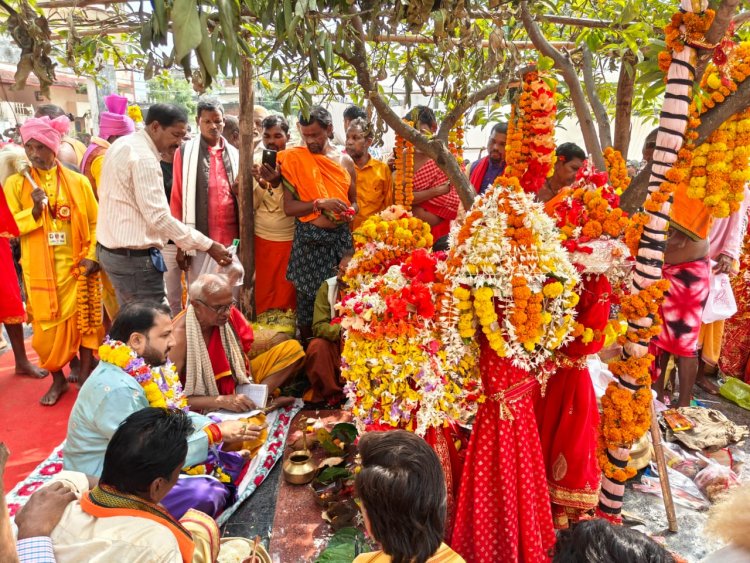 बस्तर दशहरा :  कुटुंब जात्रा रस्म के साथ हुई देवी-देवताओं की ससम्मान विदाई