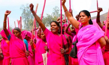 छत्तीसगढ़: गुलाबी गैंग की महिलाओं पर असामाजिक तत्वों का हमला, पुलिस में शिकायत दर्ज