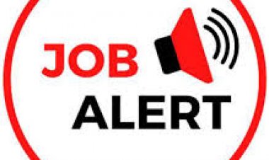 Job Breaking : रायपुर में युवाओं के लिए रोजगार का अवसर,12 नवंबर को प्लेसमेंट कैम्प