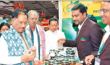 मुख्यमंत्री ने छत्तीसगढ़ पवेलियन का किया अवलोकन