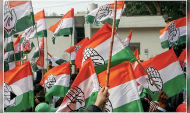 श्रीकुमार मेनन रायपुर शहर व पप्पू बंजारे ग्रामीण कांग्रेस के अध्यक्ष