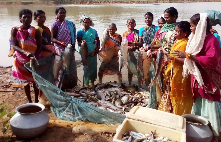 बस्तर में हो रहा नीली क्रांति का आगाज