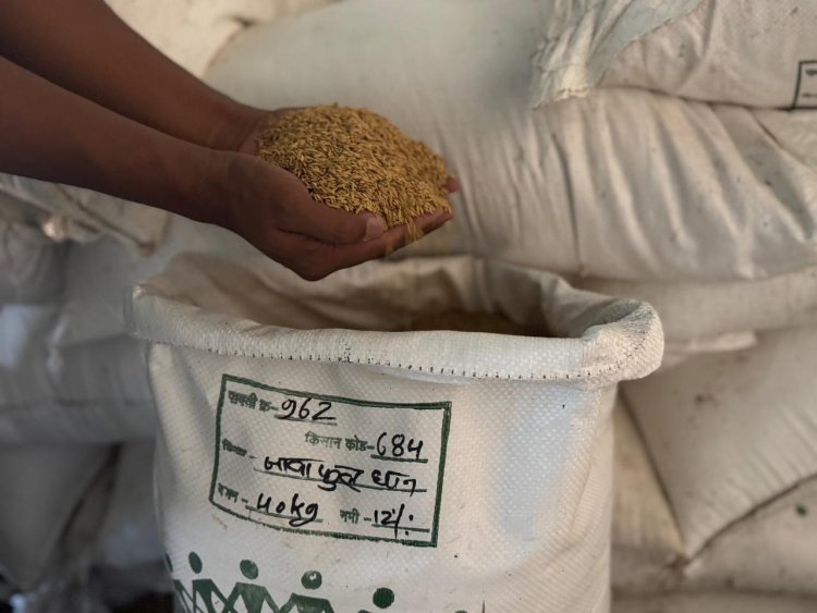 दंतेवाड़ा की जैविक खेती को मिली राष्ट्रीय पहचान,केंद्रीय कृषि मंत्री को पसंद आया ‘जवा फूल चावल’