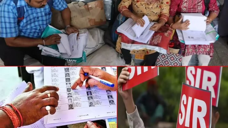 नोएडा में बड़ी कार्रवाई: SIR में लापरवाही पर 130 BLO और 13 सुपरवाइजर पर FIR