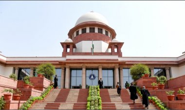 इंडिगो संकट पर सुप्रीम कोर्ट ने दखल से किया इनकार, कहा - 'सरकार कदम उठा रही है'