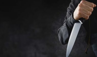 बिलासपुर में पालतू कुत्ते को लेकर खूनी संघर्ष: पड़ोसी ने युवक पर किया चाकू से हमला, गंभीर रूप से घायल