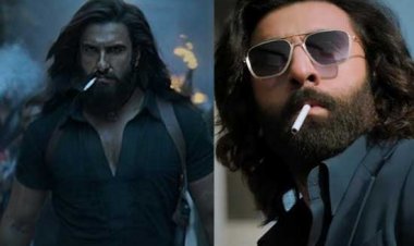 बॉक्स ऑफिस पर 'धुरंधर' की सुनामी: 14 दिनों में 460 करोड़ के पार, अब रणबीर कपूर की 'एनिमल' के रिकॉर्ड पर नजर