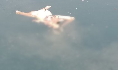 Raipur Breaking : रायपुर में मिली सिर कटी लाश,ब्लू वाटर में शव देखकर लोगों के उड़े होश