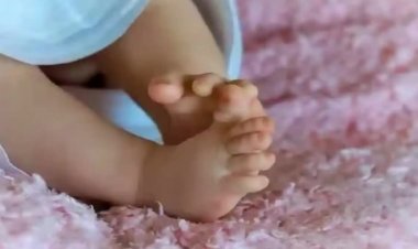 कोरबा में सनसनी: NTPC नहर की सफाई के दौरान मिला मासूम का शव, शिनाख्त में जुटी पुलिस