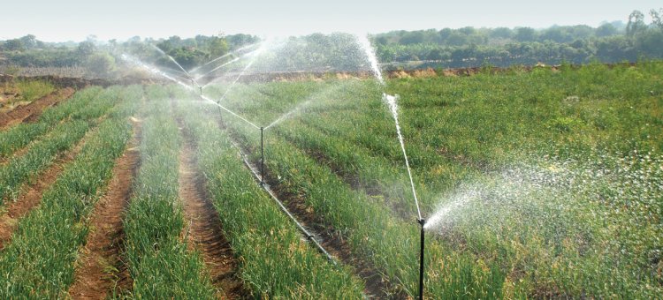 एमपी की तर्ज पर छत्तीसगढ़ में भी होगी ‘प्रेशर इरिगेशन तकनीक’ से सिंचाई