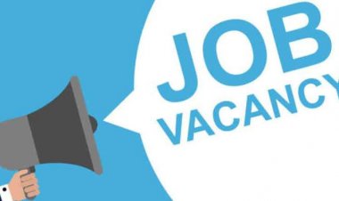 CG Job Alert 2026: छत्तीसगढ़ के युवाओं के लिए सुनहरा मौका! 12वीं पास के लिए बम्पर भर्तियां, ₹23,000 तक मिलेगी सैलरी