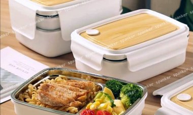 स्टील, कांच या प्लास्टिक: बच्चों और ऑफिस जाने वालों के लिए कौन सा टिफिन बॉक्स है सबसे सुरक्षित? जानें विशेषज्ञ की राय