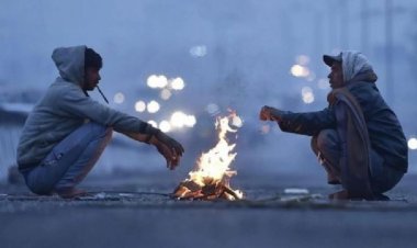 छत्तीसगढ़ में कड़ाके की ठंड: रायपुर समेत कई जिलों में 'कोल्ड वेव' का अलर्ट, जानें अगले 24 घंटों का हाल