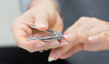 सावधान! क्या आप भी दूसरों के साथ नेल कटर शेयर करते हैं? अनजाने में बुलावा दे रहे हैं इन गंभीर बीमारियों को