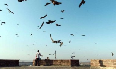 गणतंत्र दिवस 2026: आसमान के 'शिकारियों' के लिए बिछेगा 'चिकन दावत' का दस्तरखान, एयर शो को सुरक्षित रखने का अनूठा प्लान!